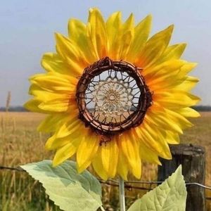 Meet your Posher, Ellen